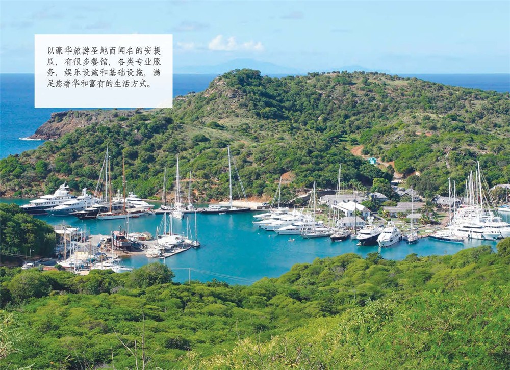Verandah房產介紹_頁面_11.jpg